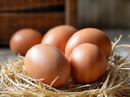 茶色い殻の新鮮な卵が藁の上に置かれている